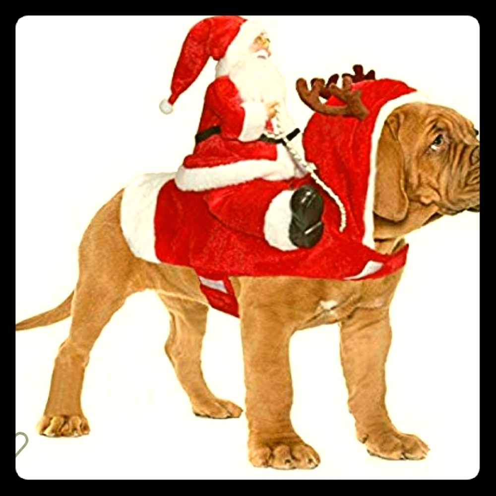 Pet Costume Santa Rides! New